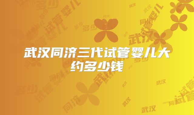武汉同济三代试管婴儿大约多少钱