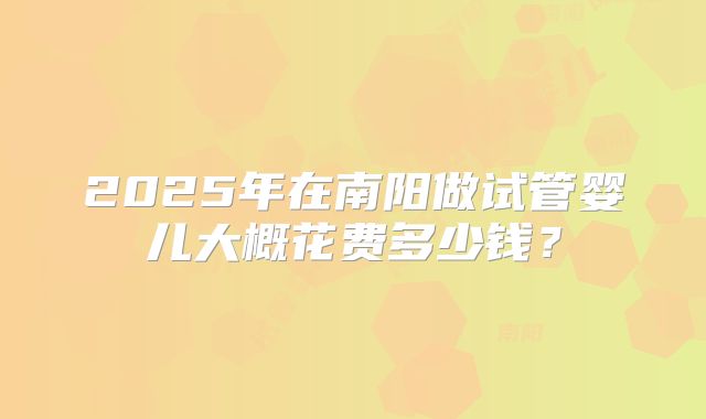 2025年在南阳做试管婴儿大概花费多少钱？