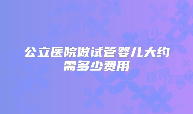 公立医院做试管婴儿大约需多少费用