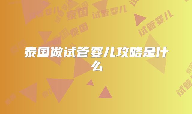 泰国做试管婴儿攻略是什么