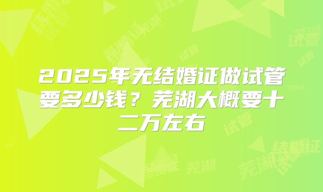 2025年无结婚证做试管要多少钱？芜湖大概要十二万左右