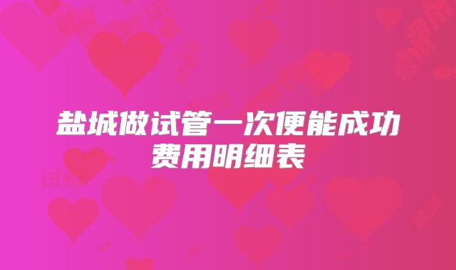 盐城做试管一次便能成功费用明细表