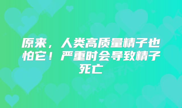 原来,人类高质量精子也怕它!严重时会导致精子死亡