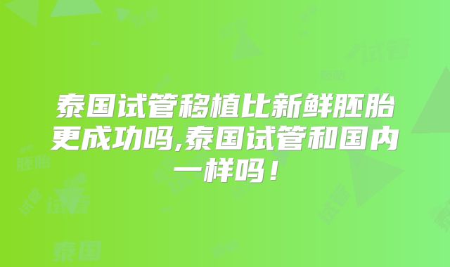 泰国试管移植比新鲜胚胎更成功吗,泰国试管和国内一样吗！
