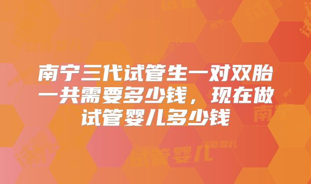 南宁三代试管生一对双胎一共需要多少钱，现在做试管婴儿多少钱