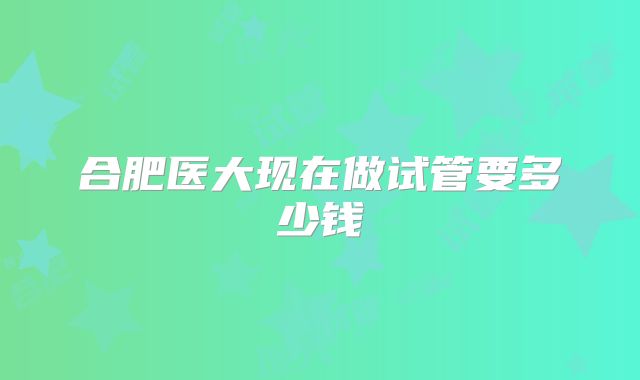 合肥医大现在做试管要多少钱