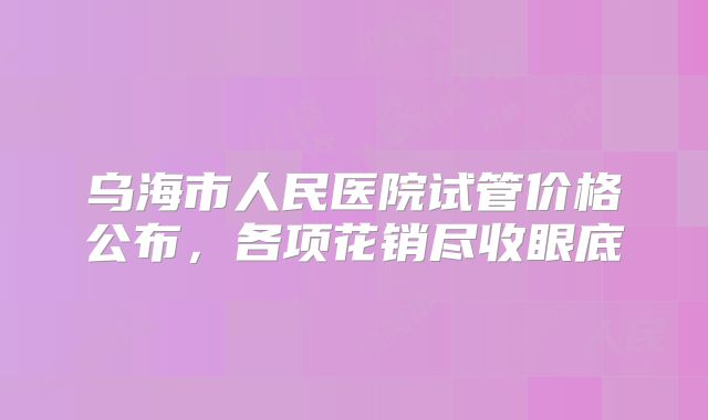 乌海市人民医院试管价格公布,各项花销尽收眼底
