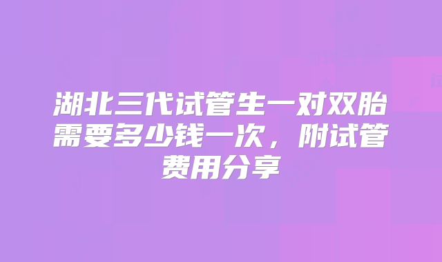 湖北三代试管生一对双胎需要多少钱一次，附试管费用分享