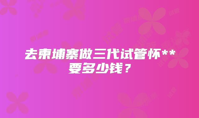 去柬埔寨做三代试管怀**要多少钱?