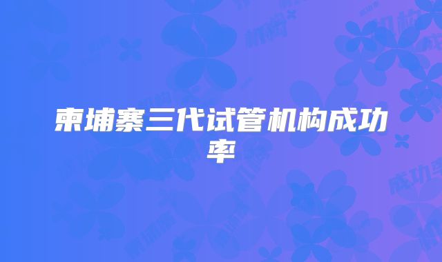 柬埔寨三代试管机构成功率