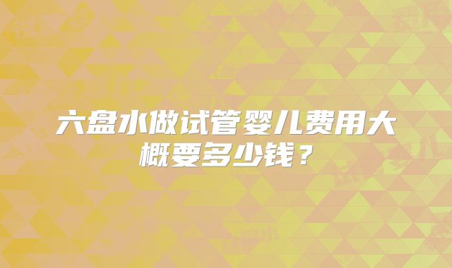 六盘水做试管婴儿费用大概要多少钱？