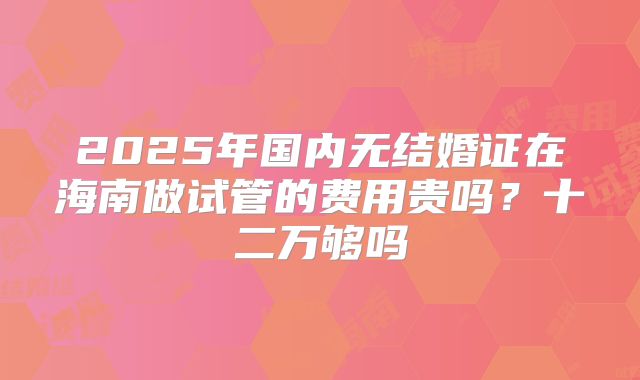 2025年国内无结婚证在海南做试管的费用贵吗？十二万够吗