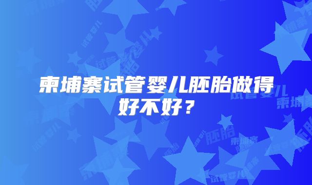 柬埔寨试管婴儿胚胎做得好不好？