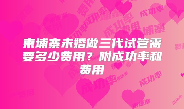 柬埔寨未婚做三代试管需要多少费用？附成功率和费用