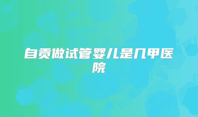 自贡做试管婴儿是几甲医院