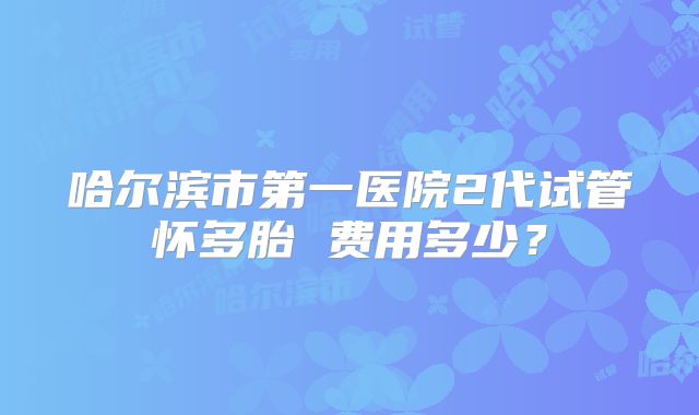 哈尔滨市第一医院2代试管怀多胎 费用多少?
