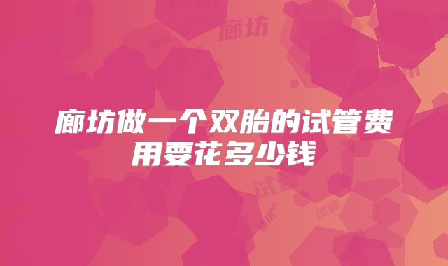 廊坊做一个双胎的试管费用要花多少钱