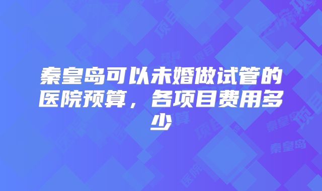 秦皇岛可以未婚做试管的医院预算，各项目费用多少