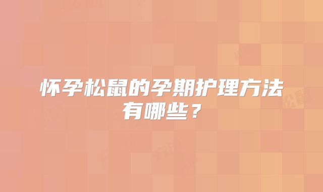 怀孕松鼠的孕期护理方法有哪些？