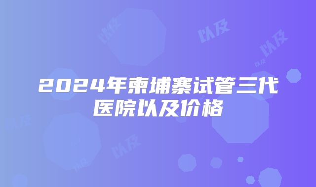 2024年柬埔寨试管三代医院以及价格