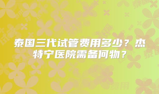 泰国三代试管费用多少？杰特宁医院需备何物？