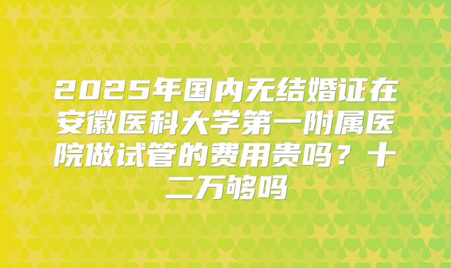 2025年国内无结婚证在安徽医科大学第一附属医院做试管的费用贵吗？十二万够吗
