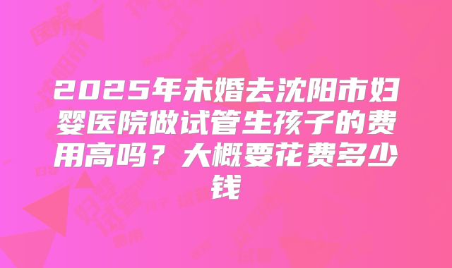 2025年未婚去沈阳市妇婴医院做试管生孩子的费用高吗？大概要花费多少钱