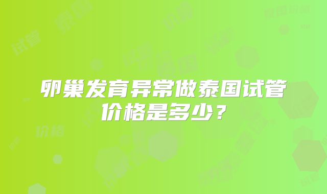 卵巢发育异常做泰国试管价格是多少？