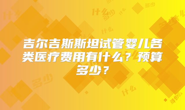 吉尔吉斯斯坦试管婴儿各类医疗费用有什么？预算多少？