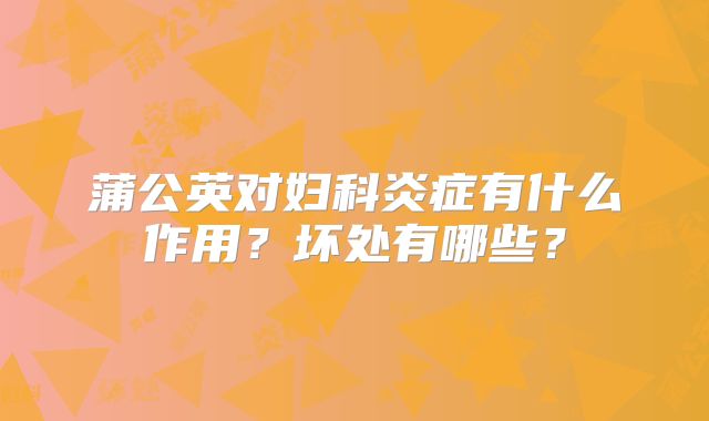 蒲公英对妇科炎症有什么作用?坏处有哪些?