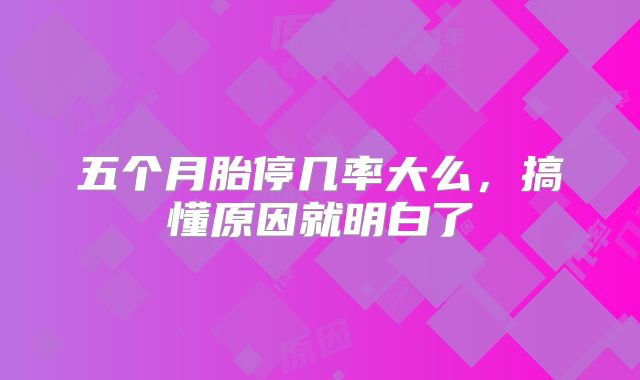 五个月胎停几率大么，搞懂原因就明白了