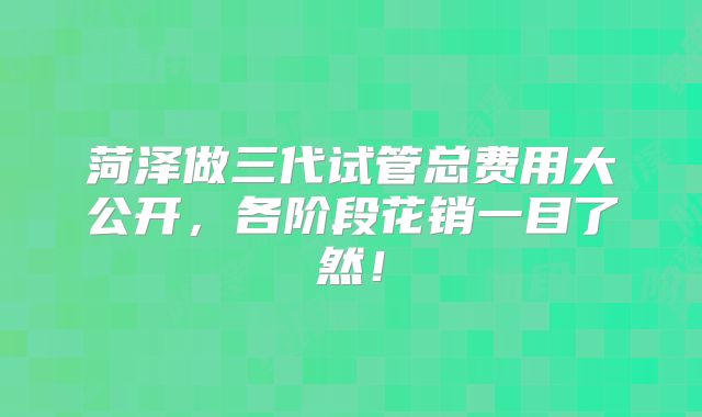 菏泽做三代试管总费用大公开，各阶段花销一目了然！