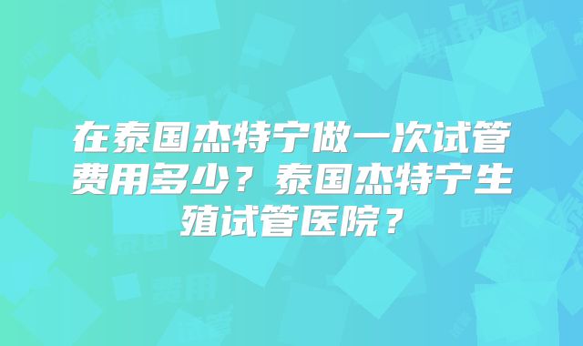 在泰国杰特宁做一次试管费用多少？泰国杰特宁生殖试管医院？