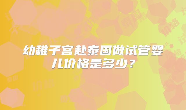 幼稚子宫赴泰国做试管婴儿价格是多少？
