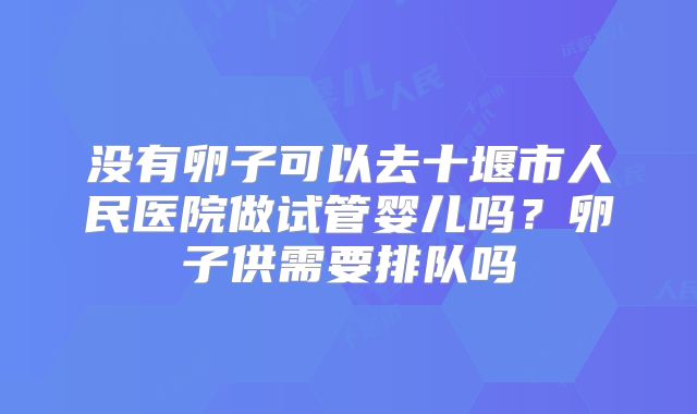 没有卵子可以去十堰市人民医院做试管婴儿吗?卵子供需要排队吗