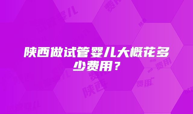 陕西做试管婴儿大概花多少费用?
