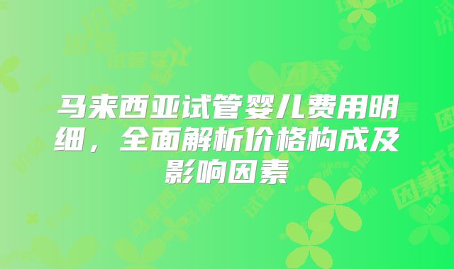 马来西亚试管婴儿费用明细，全面解析价格构成及影响因素