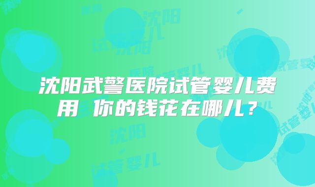 沈阳武警医院试管婴儿费用 你的钱花在哪儿?