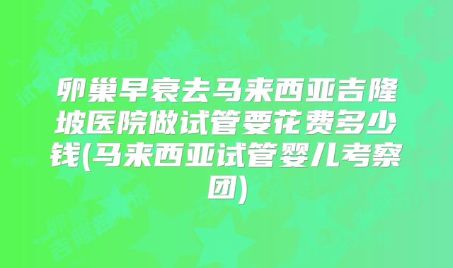 卵巢早衰去马来西亚吉隆坡医院做试管要花费多少钱(马来西亚试管婴儿考察团)