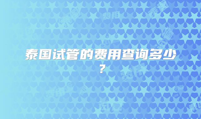 泰国试管的费用查询多少?