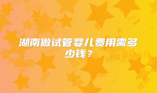 湖南做试管婴儿费用需多少钱？