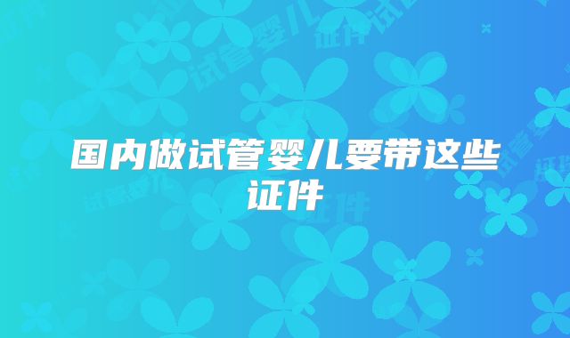 国内做试管婴儿要带这些证件