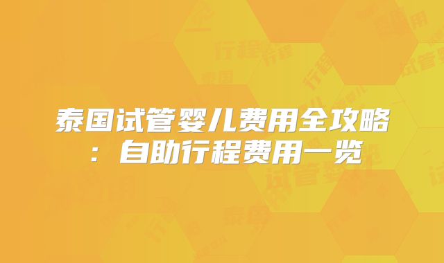 泰国试管婴儿费用全攻略:自助行程费用一览