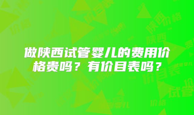做陕西试管婴儿的费用价格贵吗？有价目表吗？