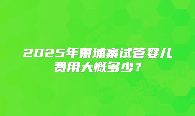 2025年柬埔寨试管婴儿费用大概多少？