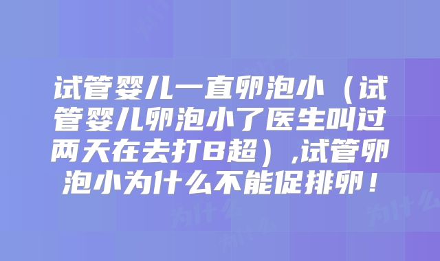 试管婴儿一直卵泡小(试管婴儿卵泡小了医生叫过两天在去打B超),试管卵泡小为什么不能促排卵!