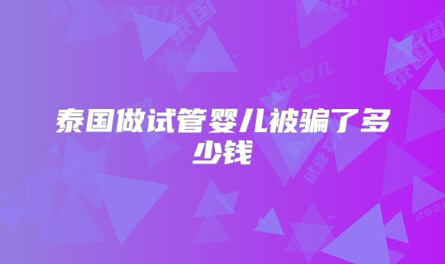 泰国做试管婴儿被骗了多少钱