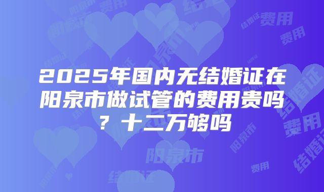 2025年国内无结婚证在阳泉市做试管的费用贵吗？十二万够吗