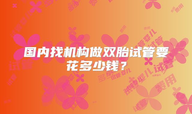 国内找机构做双胎试管要花多少钱?