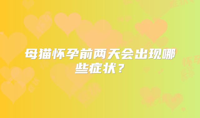 母猫怀孕前两天会出现哪些症状？